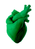 Cardiac Manifestation - Active