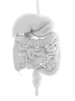 Gastrointestinal Manifestation