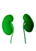 Nephropathy Manifestation - Active